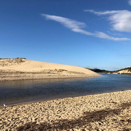 Chaleureux Appartement A 500M De L'Ocean Et 150M Du Golf Moliets-Plage Kültér fotó